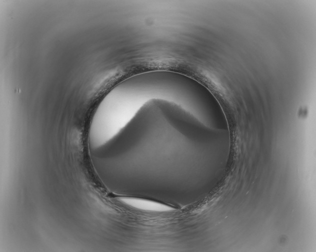 X0000094210258200711021122