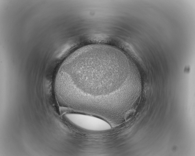 X0000094210259200711021122