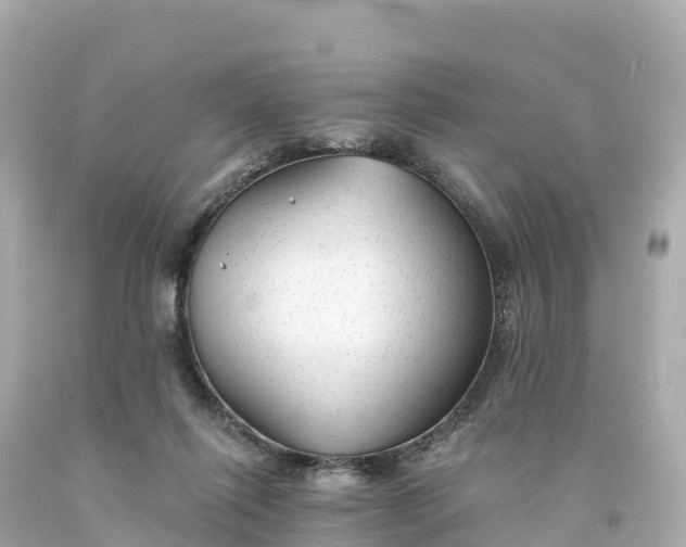X0000094210262200711021122
