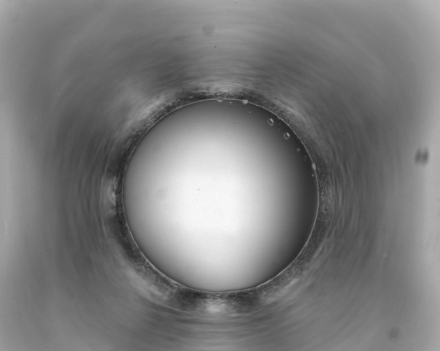 X0000094210264200711021122