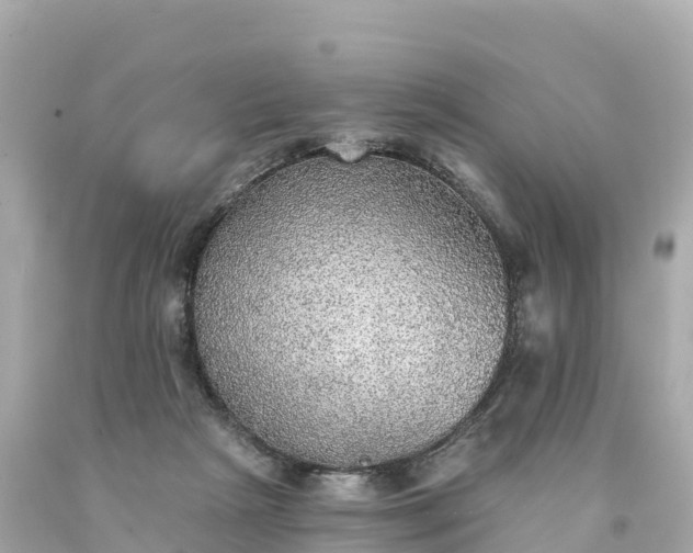 X0000094210265200711021122
