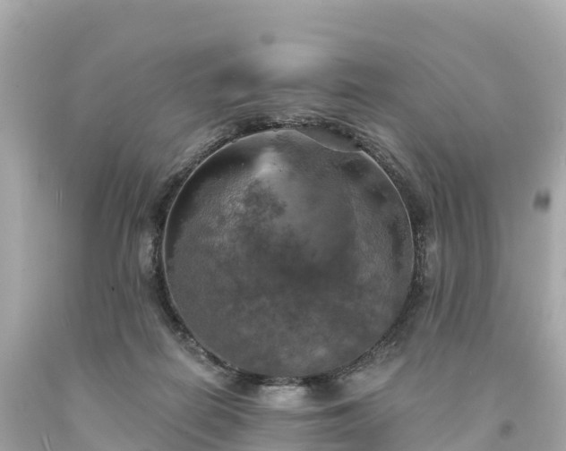 X0000094210266200711021122