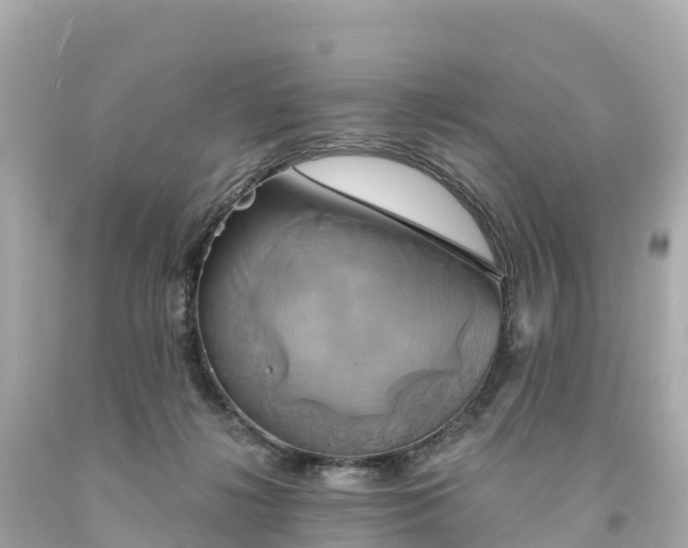 X0000094210268200711021122