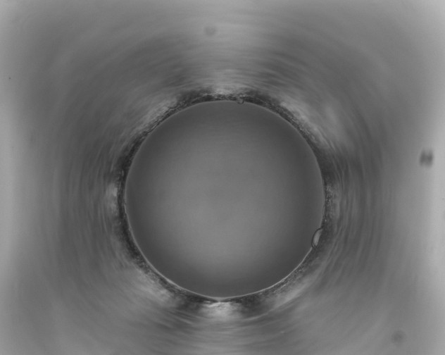X0000094210269200711021122
