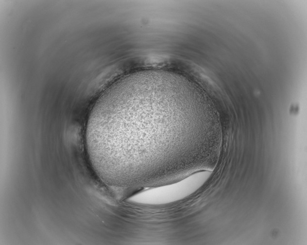 X0000094210270200711021122