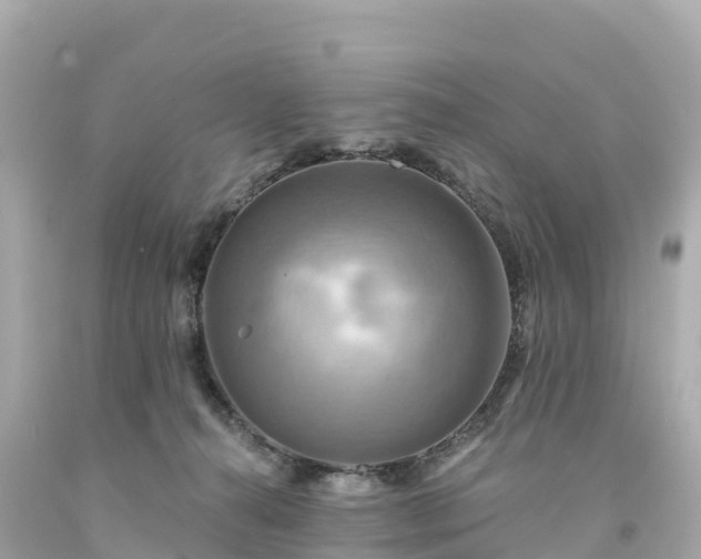 X0000094210272200711021122