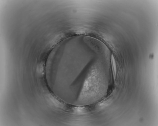 X0000094210273200711021122