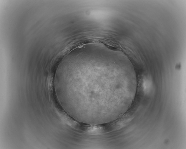 X0000094210274200711021122