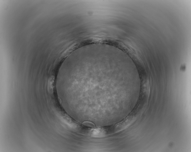 X0000094210275200711021122