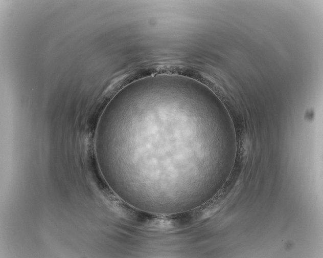 X0000094210276200711021122