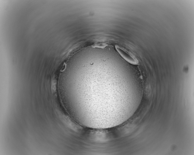 X0000094210282200711021122