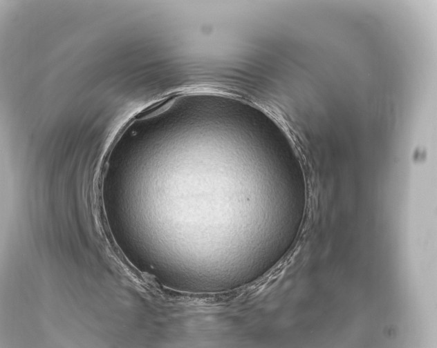 X0000094210289200711021122