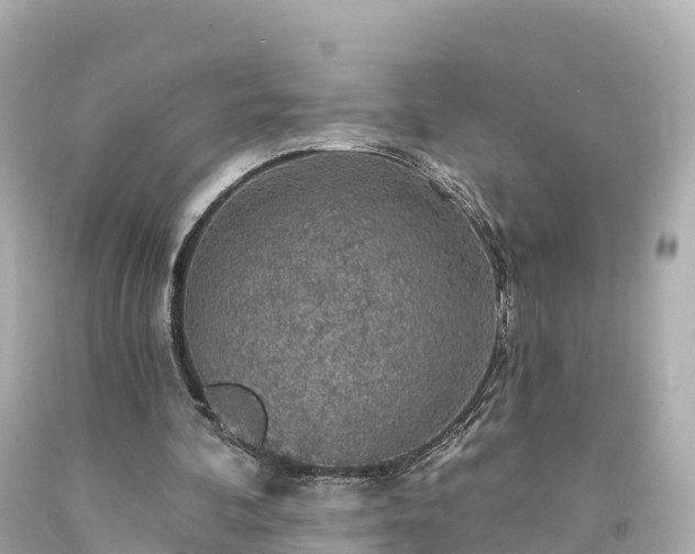 X0000094210292200711021122