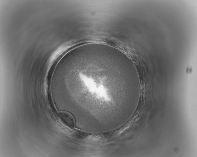 X0000094210294200711021122