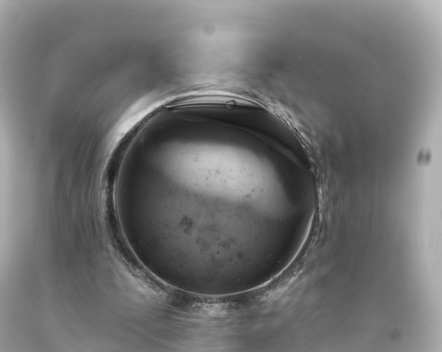 X0000094210295200711021122