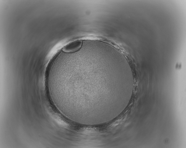 X0000094210296200711021122