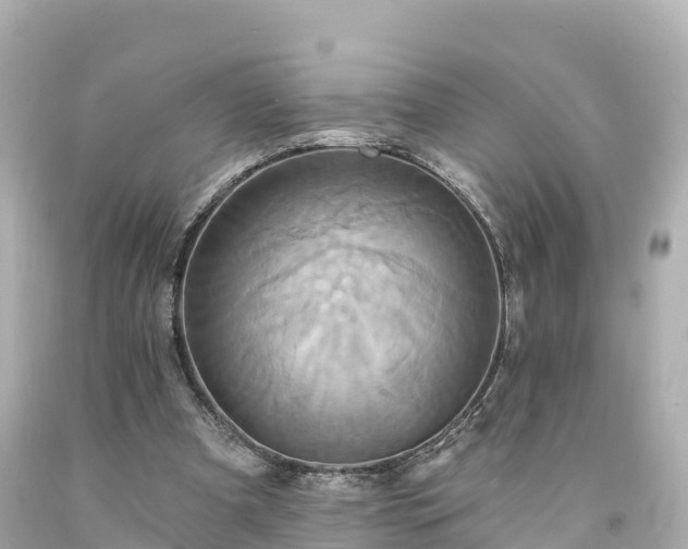 X0000094210297200711021122