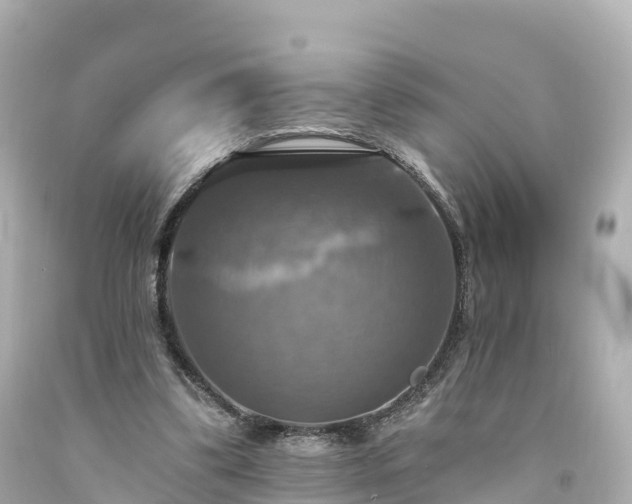 X0000094210299200711021122