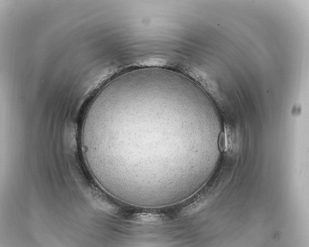 X0000094210300200711021122