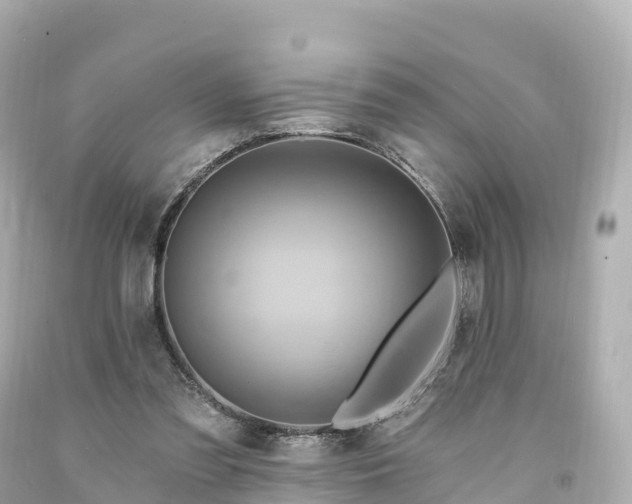X0000094210301200711021122