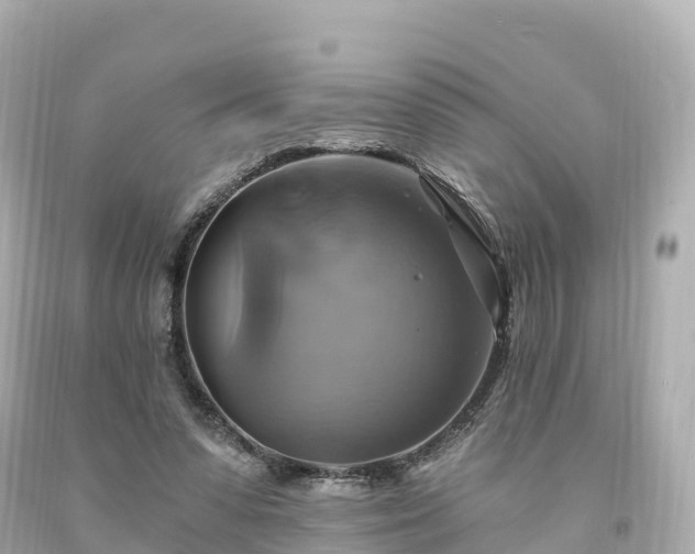 X0000094210303200711021121
