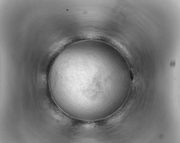 X0000094210306200711021121