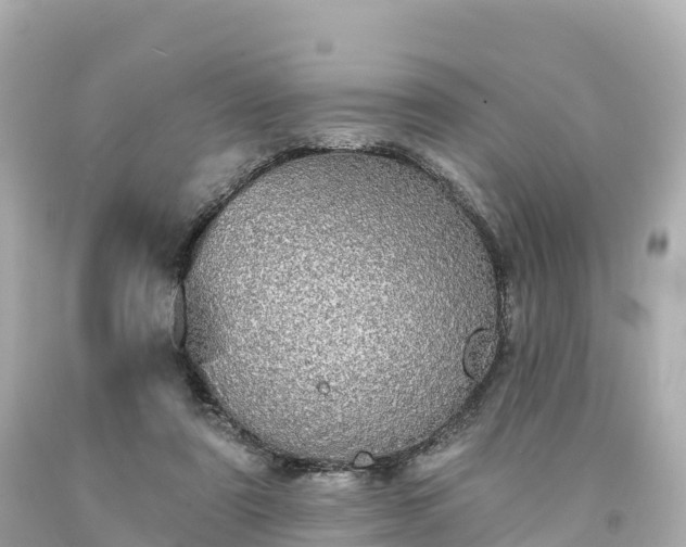 X0000094210307200711021121