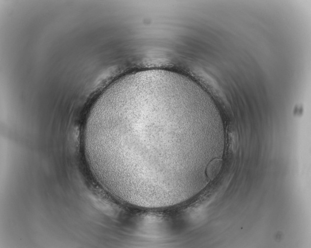 X0000094210308200711021121