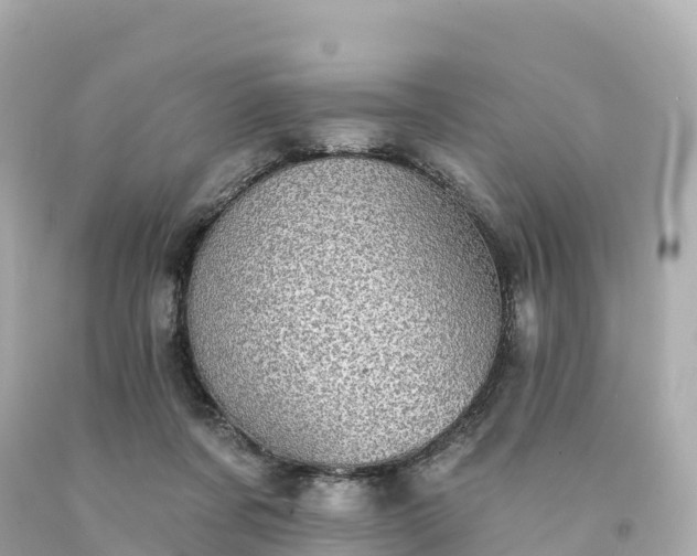 X0000094210311200711021121
