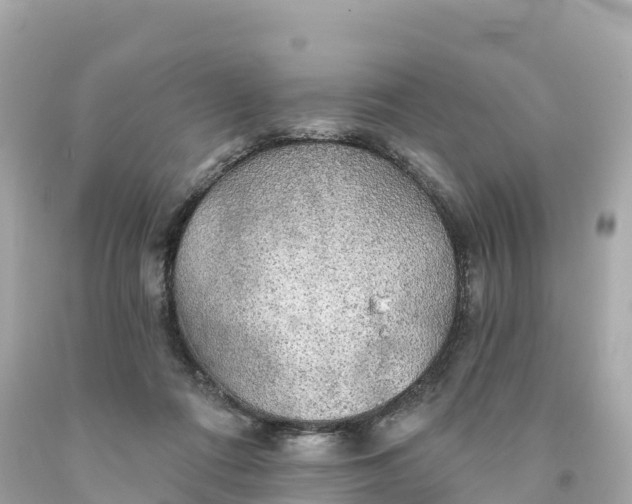 X0000094210312200711021121