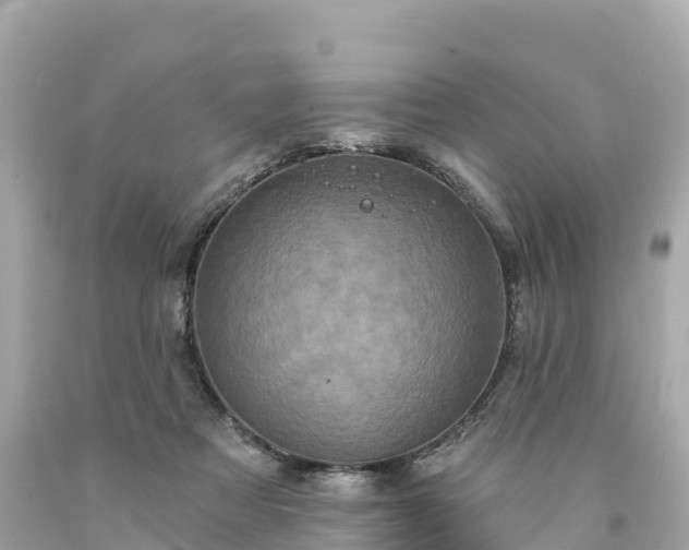 X0000094210313200711021121