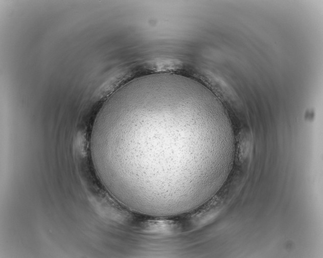 X0000094210316200711021121