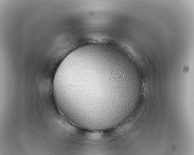 X0000094210318200711021121