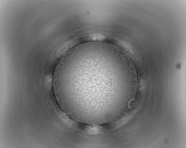 X0000094210321200711021121