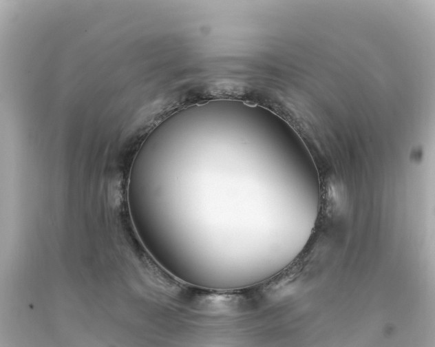 X0000094210323200711021121