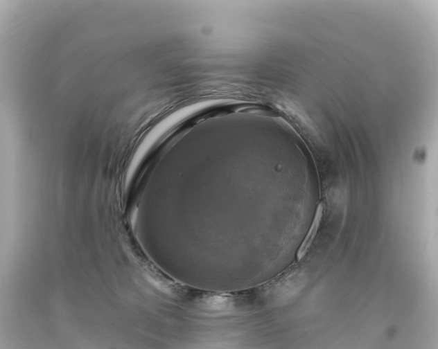 X0000094210325200711021121
