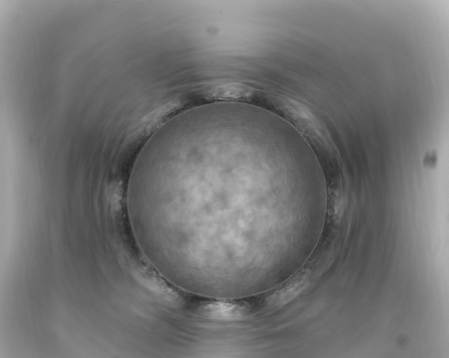 X0000094210326200711021121
