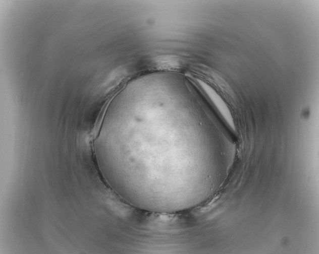 X0000094210329200711021121