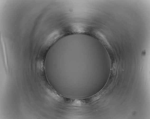 X0000094210330200711021121