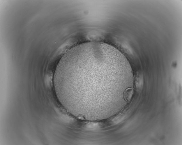 X0000094210332200711021121