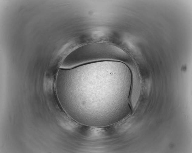 X0000094210333200711021121