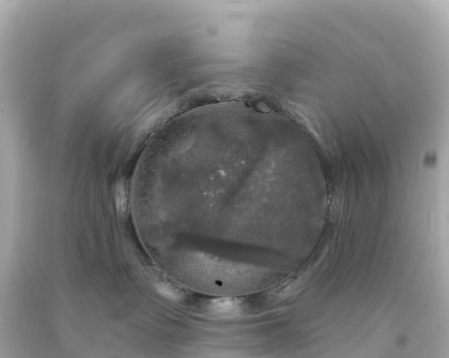 X0000094210335200711021121
