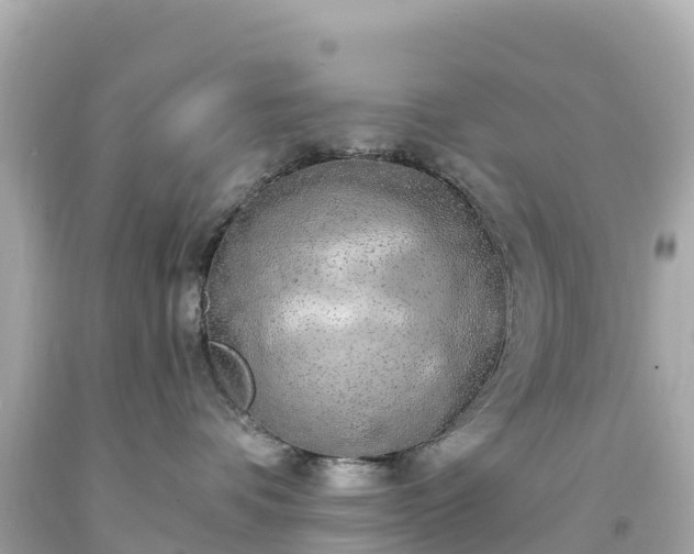 X0000094210336200711021121