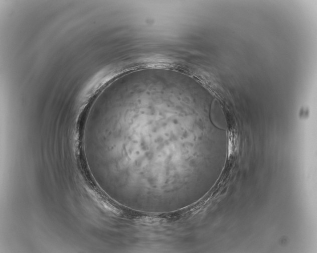 X0000094210339200711021120