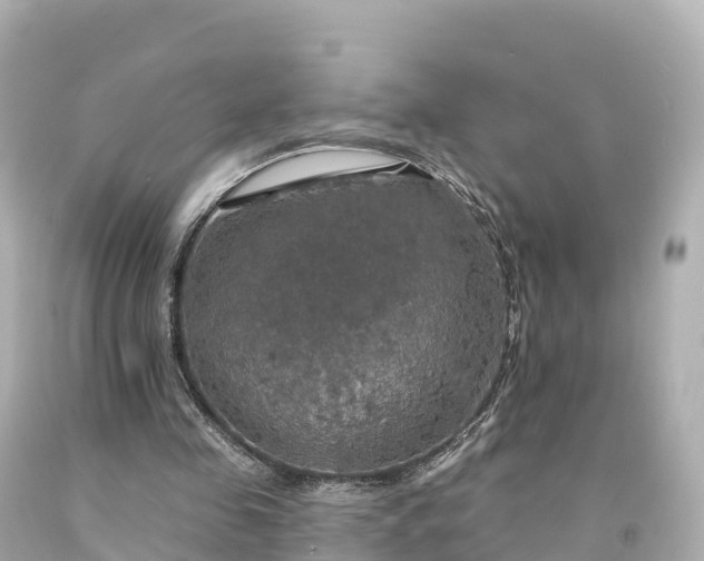 X0000094210341200711021120