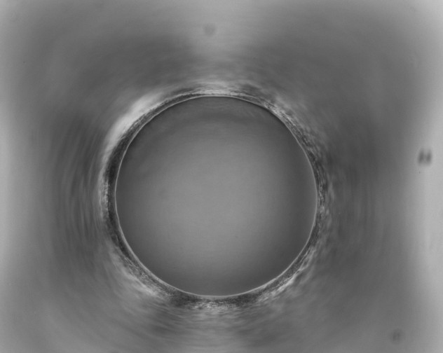 X0000094210343200711021120