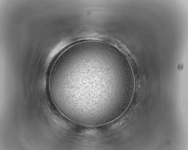 X0000094210344200711021120