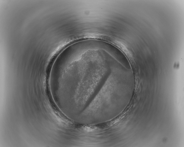 X0000094210346200711021120