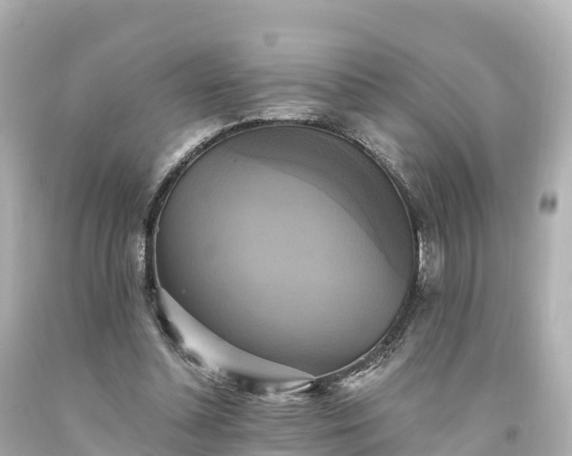 X0000094210348200711021121