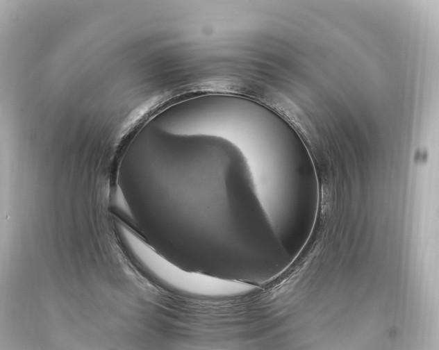 X0000094210349200711021121